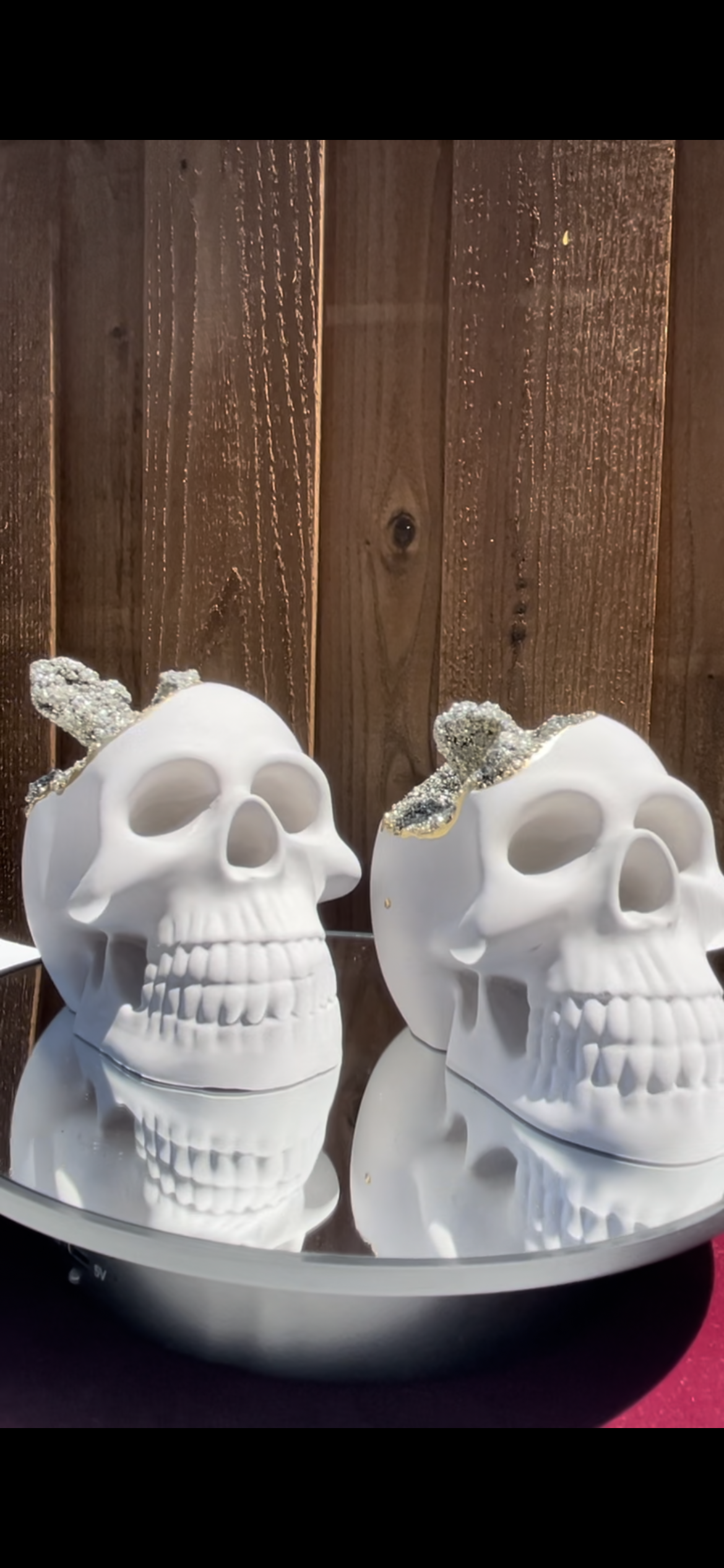 Pyrite Crystal Cement Skull